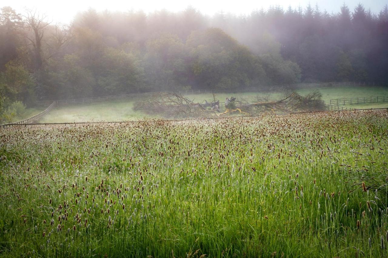 The Garden House, Necarne, Irvinestownヴィラ エクステリア 写真